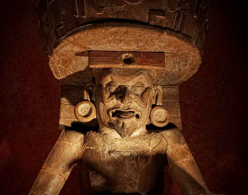 Das anthropologische Museum