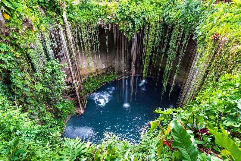Schwimmen in einer Cenote
