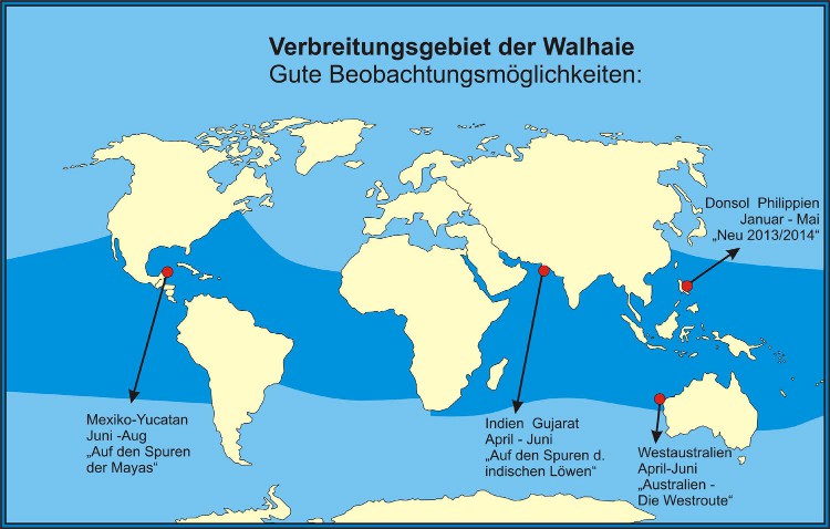 Verbreitungsgebiet der Walhaie