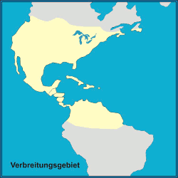 Verbreitungsgebiet Monarchfalter