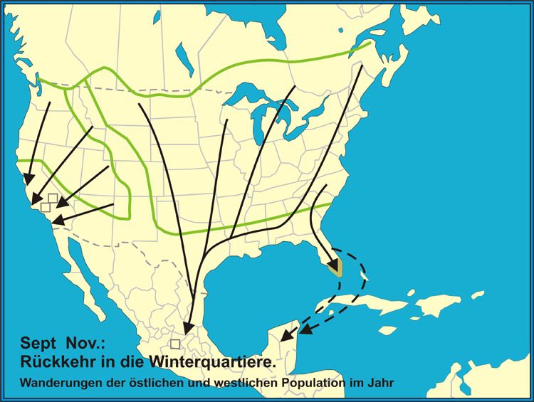Monarch Falter Reise/Wanderroute 5