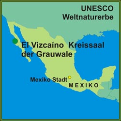 El Vizcaíno – Kreissaal der Grauwale