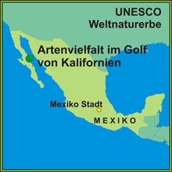Golf von Kalifornien